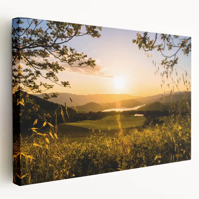 Sale Golden Napa Valley Sunset – Scenic California Wine Country Wall Art