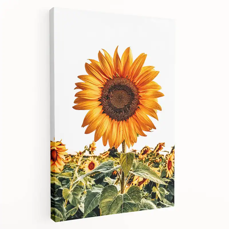 Farmhouse Wall Art | Rustic Sunflower Decor | Vintage Country Style Print Genuine