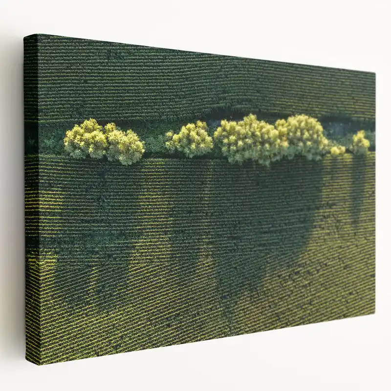 Exclusive Iowa Photography Art - Aerial View of Cornfields Scenic Iowa Wall Art