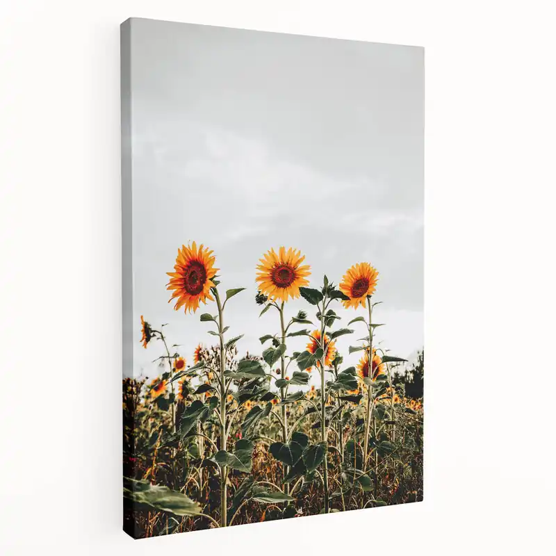Farmhouse Wall Art Sunflower Field Print | Rustic Country Style Decor Holiday Sale