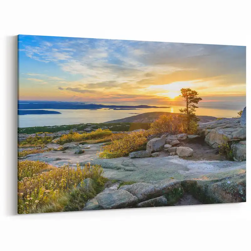 Acadia National Park Wall Art - Sunrise Coastal Maine Landscape Photography Price Cut