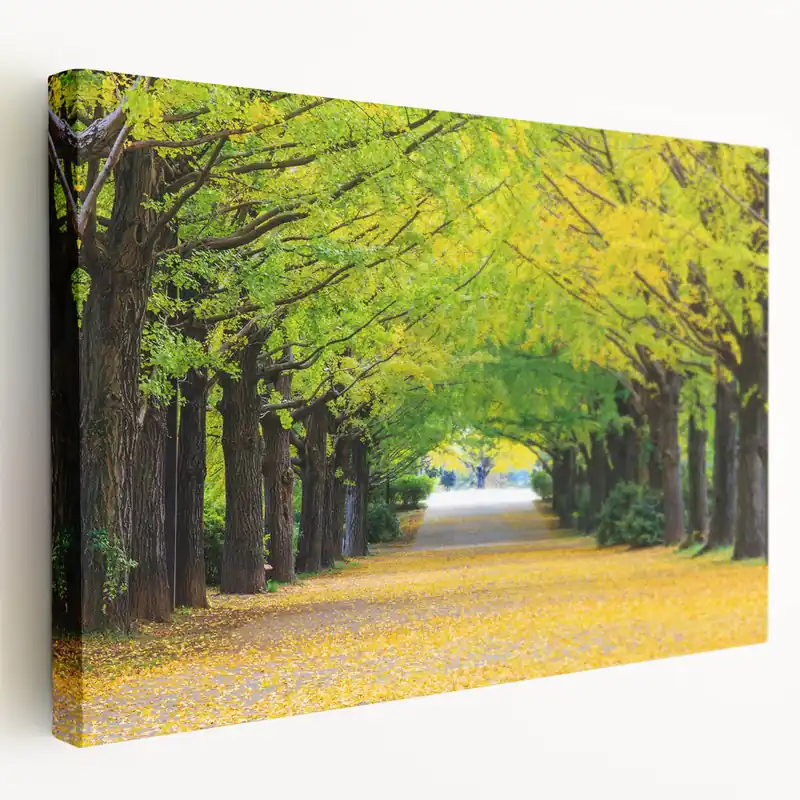 Virginia Nature Art - Tree-Lined Path in Spring Scenic Photography Print Seasonal Sale