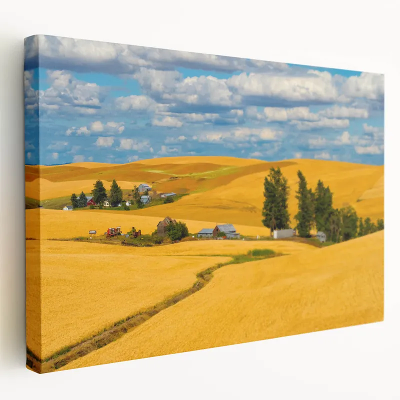 Palouse Region Art - Golden Wheat Fields and Farmhouses on Canvas or Acrylic Don’t Miss Out