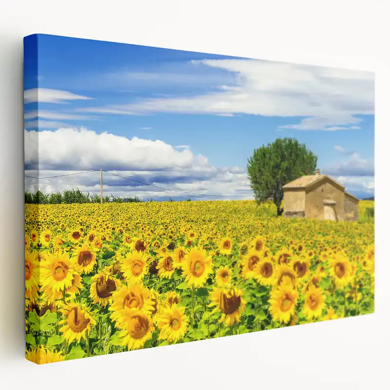 Sale South of France Wall Art - Sunflower Field Provence Art Prints