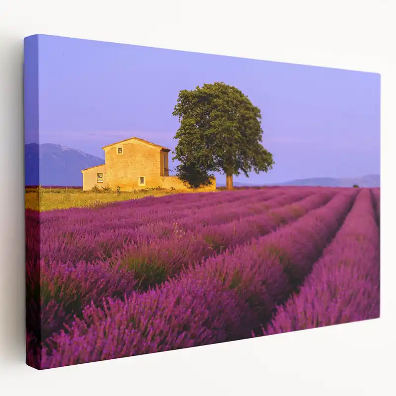 Top Pick Provence Wall Art - Lavender Fields with Rustic Farmhouse and Tree