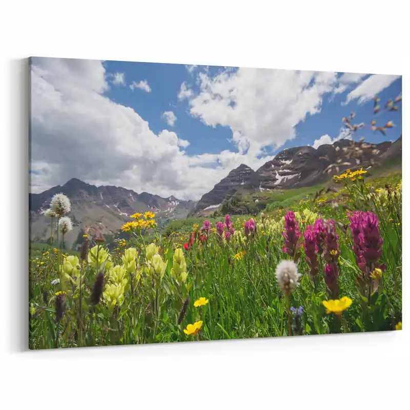 Worldwide Shipping Aspen Nature Photography - Wildflowers with Majestic Colorado Mountains