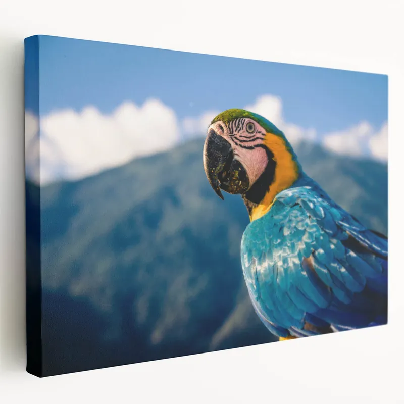 Popular Venezuelan Wildlife Art - Colorful Parrot Against Mountain Landscape