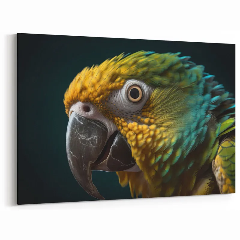 Top Pick Vibrant Parrot Bird Art Print - Nature Close-Up Wildlife Canvas Wall Art