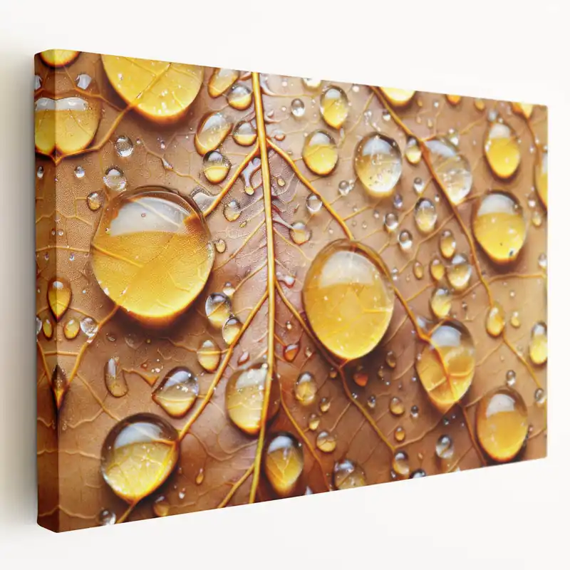 Professional Grade Nature Close-Up Water Droplets Wall Art - Scenic Water-Themed Canvas Print
