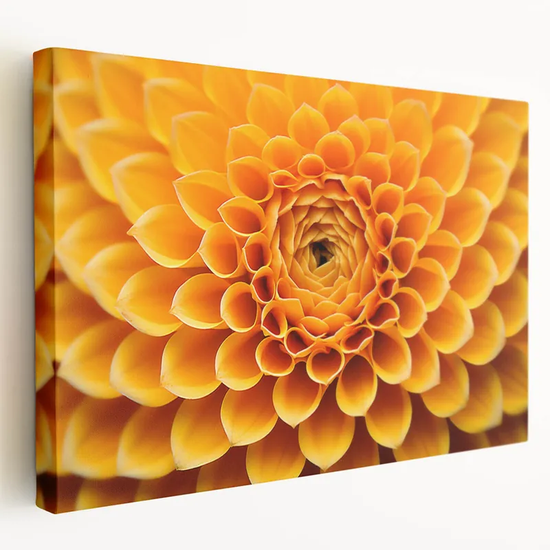 Free Delivery Golden Floral Wall Art: Vibrant Nature-Inspired Botanical Close-Up Print