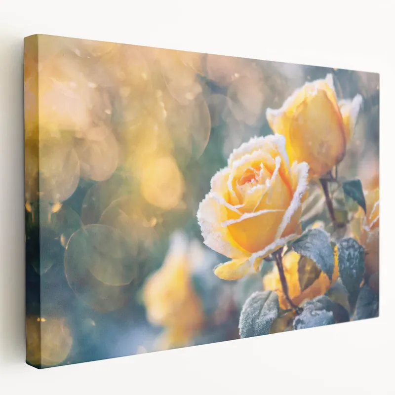 Winter Frost on Yellow Roses – Frozen Nature Close Up Wall Art Affordable