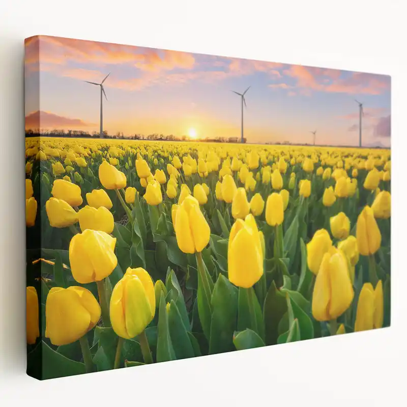Super Sale Golden Yellow Tulip Wall Art – Bright Tulip Canvas & Framed Prints
