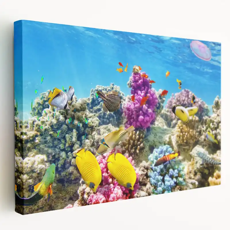 Underwater Coral Photography - Vibrant Great Barrier Reef Canvas Art Limited Time