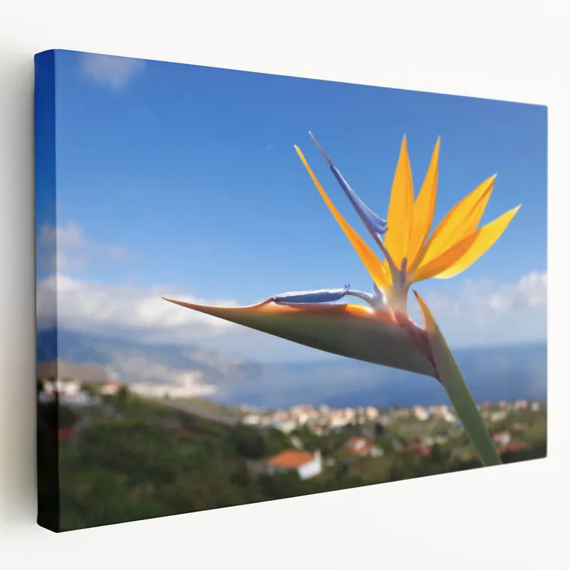 Stunning Bird of Paradise Art Print - Vibrant Tropical Flower Wall Decor Premium