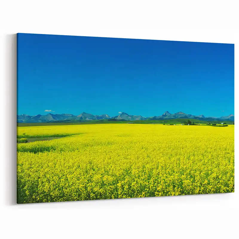 Sale Alberta Bright CanolaArt - Landscape Bright Canola Field with Rocky Mountain Backdrop