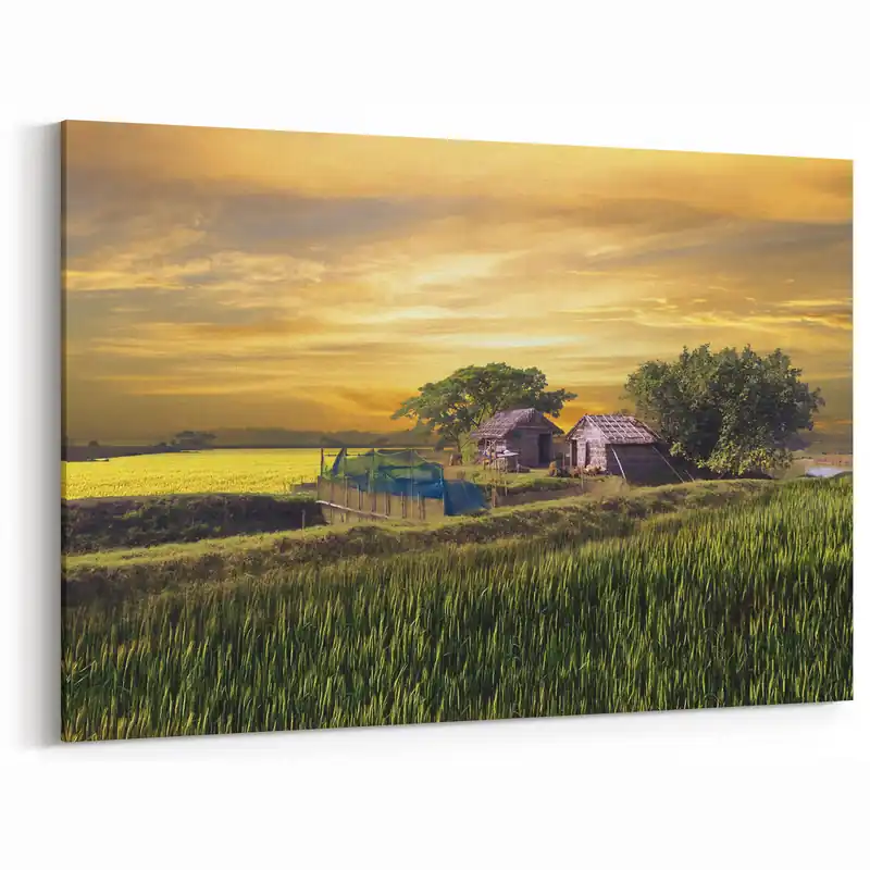 Best Seller Golden Fields and Village Huts - Peaceful Bangladeshi Countryside Art