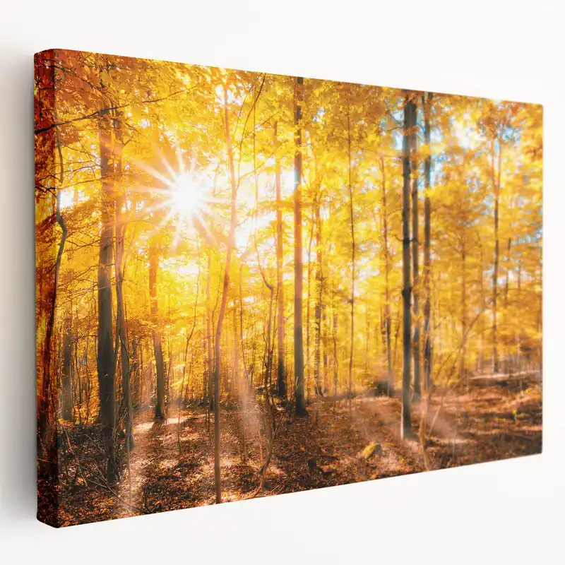 Golden Autumn Forest Wall Art - Warm Sunlit Nature Landscape Print Trusted Brand