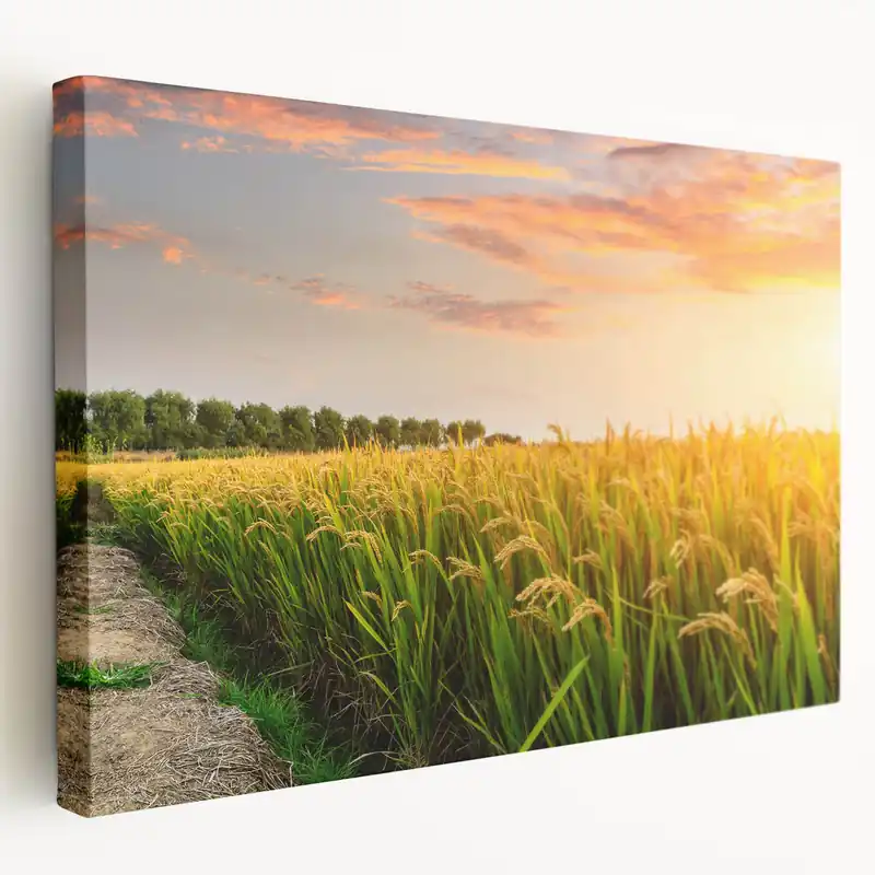 Rolling Fields Canvas Art - Golden Wheat Field at Sunset Landscape Print Hot Deal