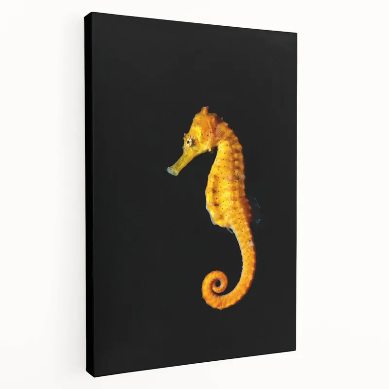 Golden Seahorse Wall Art - Bold Yellow & Black Canvas, Framed Print Free Delivery