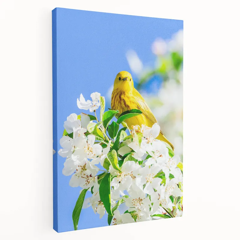 Spring Bird Wall Art - Yellow Warbler Floral Spring Canvas Print Limited Time