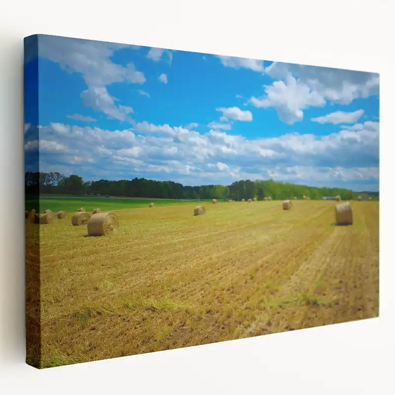 Authentic Raleigh Farmland Photography - Scenic North Carolina Field Wall Art