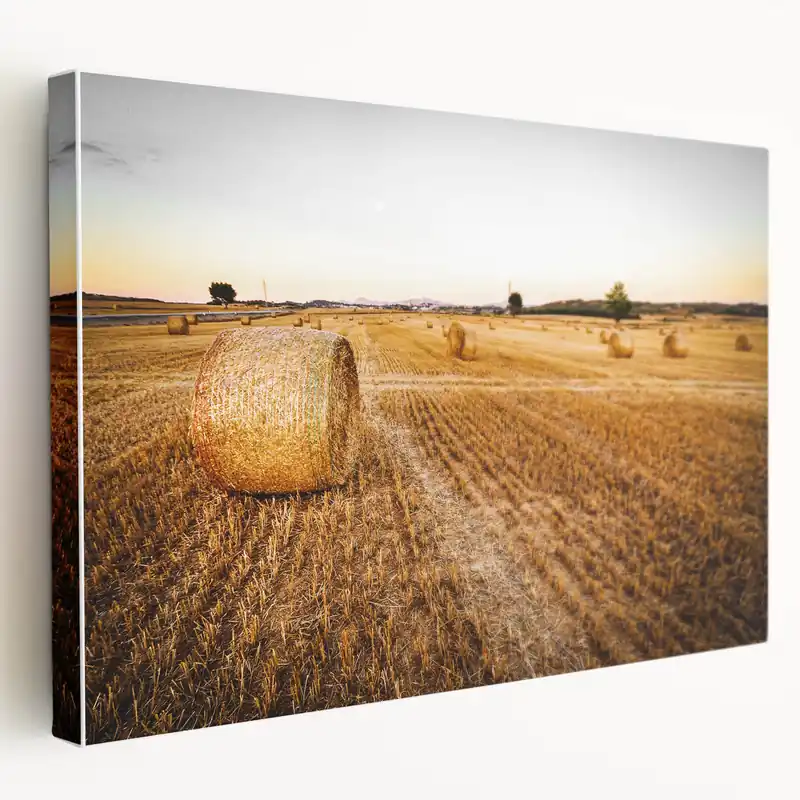 Golden Hay Bales Rustic Wall Art - Farmhouse Country Landscape Decor Popular