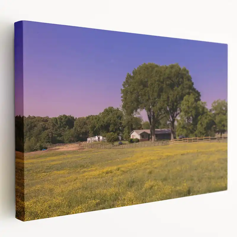 Mississippi Landscape Art - Peaceful Countryside Canvas Prints Worldwide Shipping