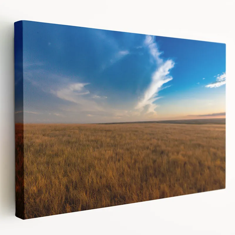 Free Delivery South Dakota Wall Art - Golden Prairie and Dramatic Sky Canvas Print