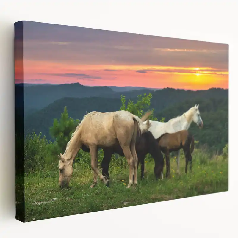 Exclusive Offer Kentucky Horses at Sunset Art – Scenic Wall Decor for Horse Lovers