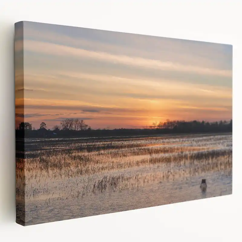 Louisiana Nature Prints - Golden Sunset Over Bayou Wetlands Buy Today