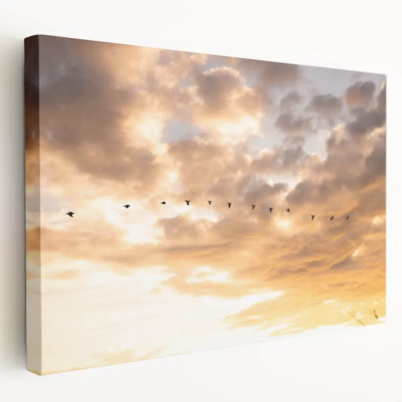 Wholesale Elegant Everglades Wall Art - Birds in Flight at Sunset Nature Photography