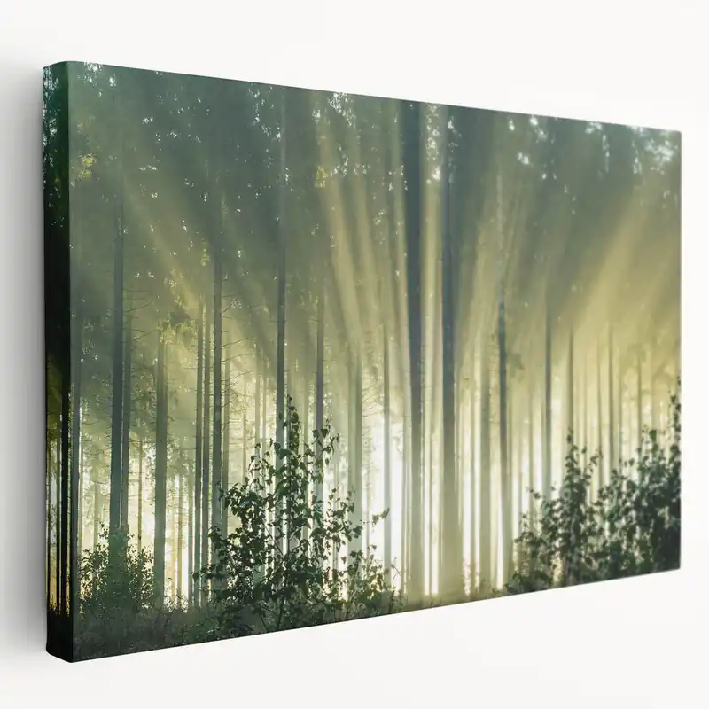 Sunbeams Through Forest Trees - Serene Nature Wall Art in Landscape Prints Viral