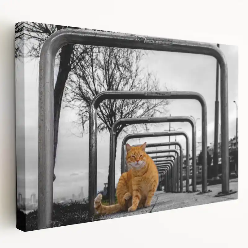 Time-Limited Urban Skyline Canvas Prints – Cat in City Symmetry Street Scene