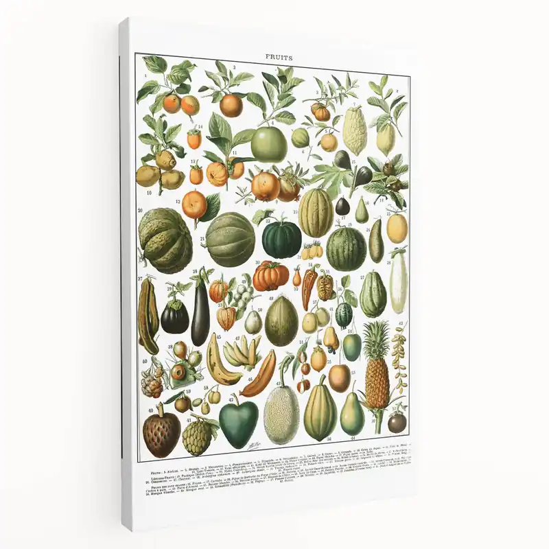 Vintage Botanical Art Prints – Nature-Inspired Fruit Illustration Warranty Included