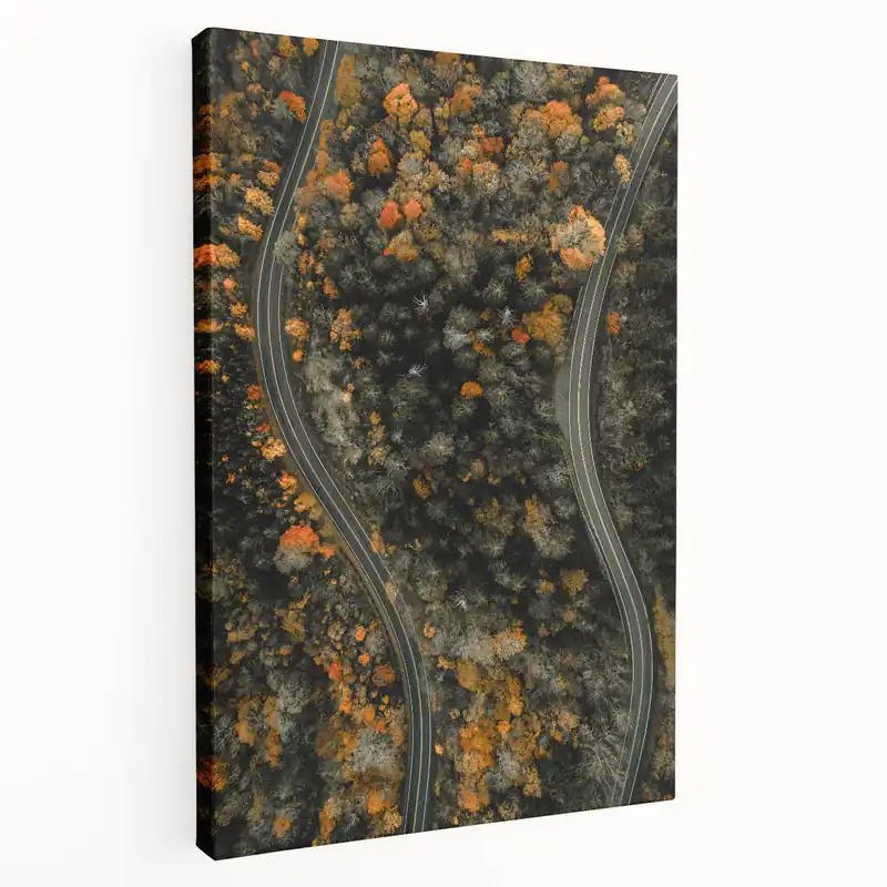 Winding Autumn Roads - Fall Wall Art Autumn Canvas Art Print Factory Price