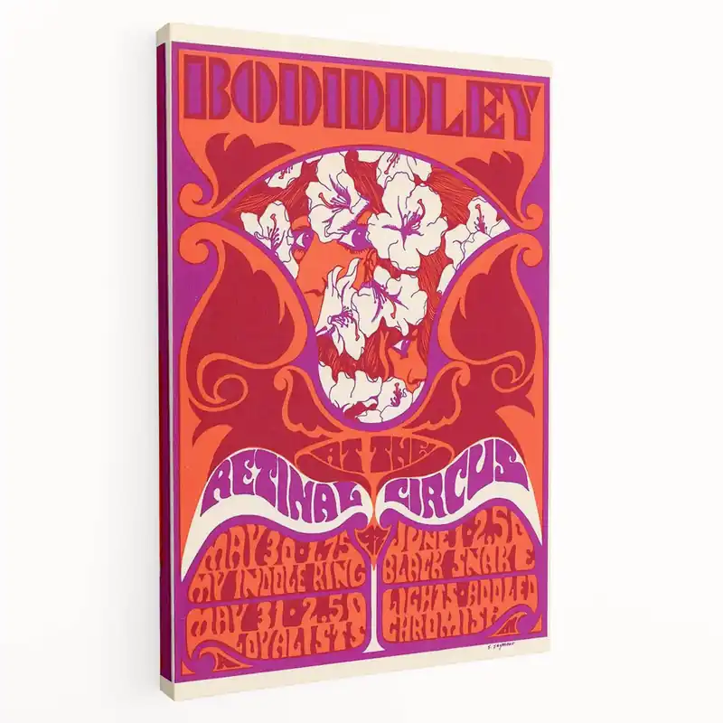 Vintage Bo Diddley Retinal Circus Poster 1975 - Retro Music Art Same Day Shipping