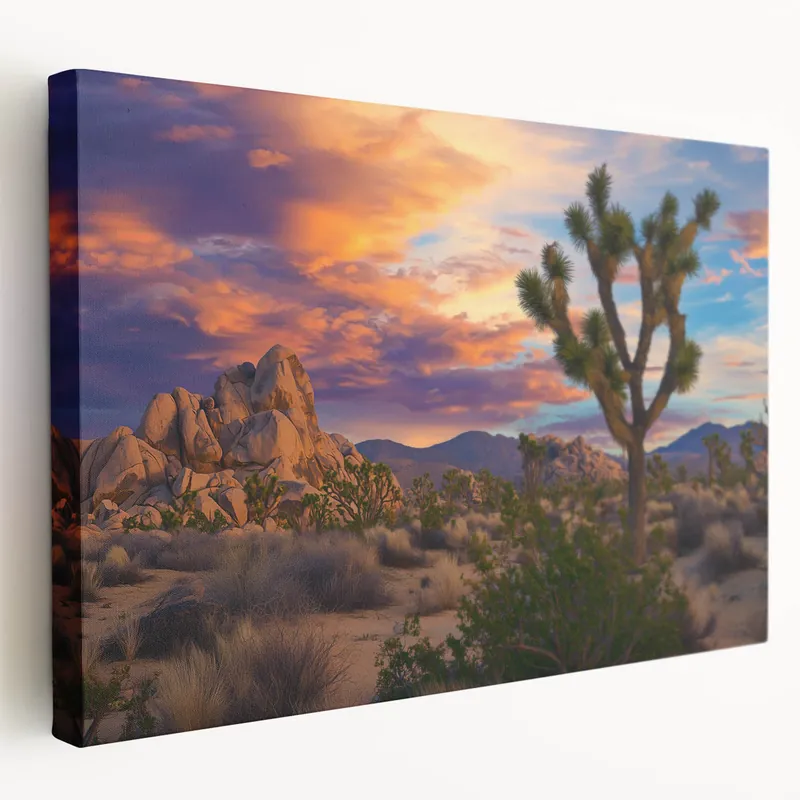 Sunset Over Desert Landscape with Joshua Trees – Fields Panorama Wall Decor Super Sale