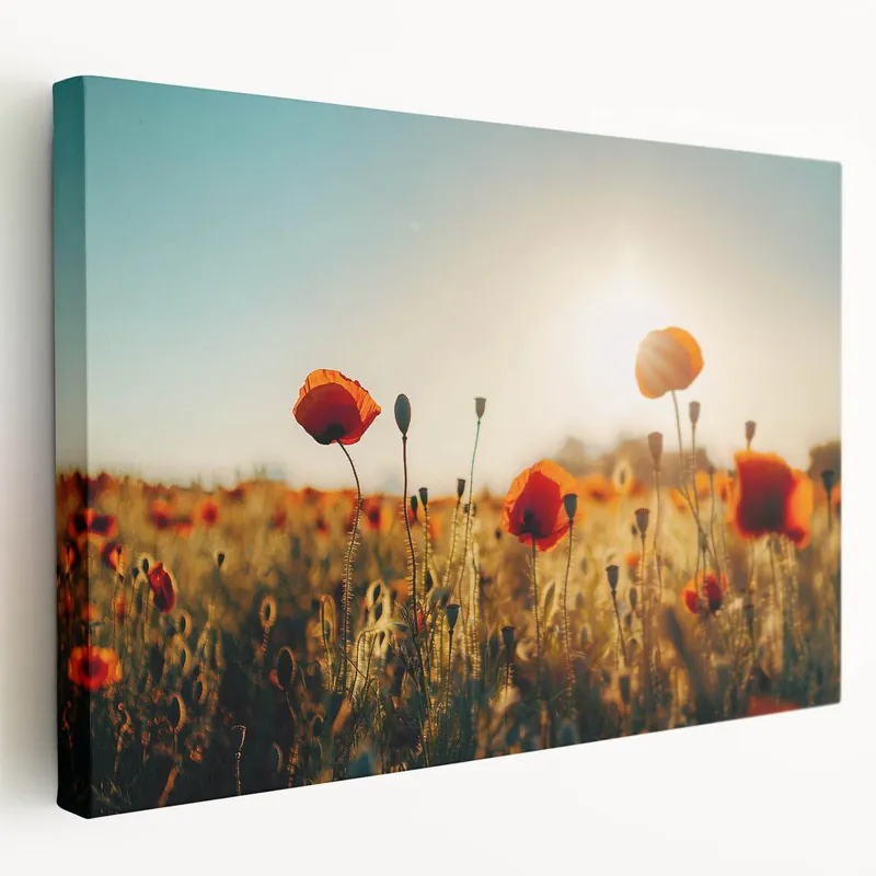 Handmade Scenic Fields Framed Art - Vibrant Poppy Field Landscape Decor