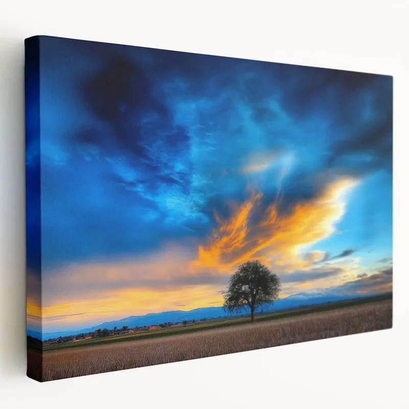 Fields Landscape Acrylic Prints - Lone Tree with Vibrant Sky Art Budget