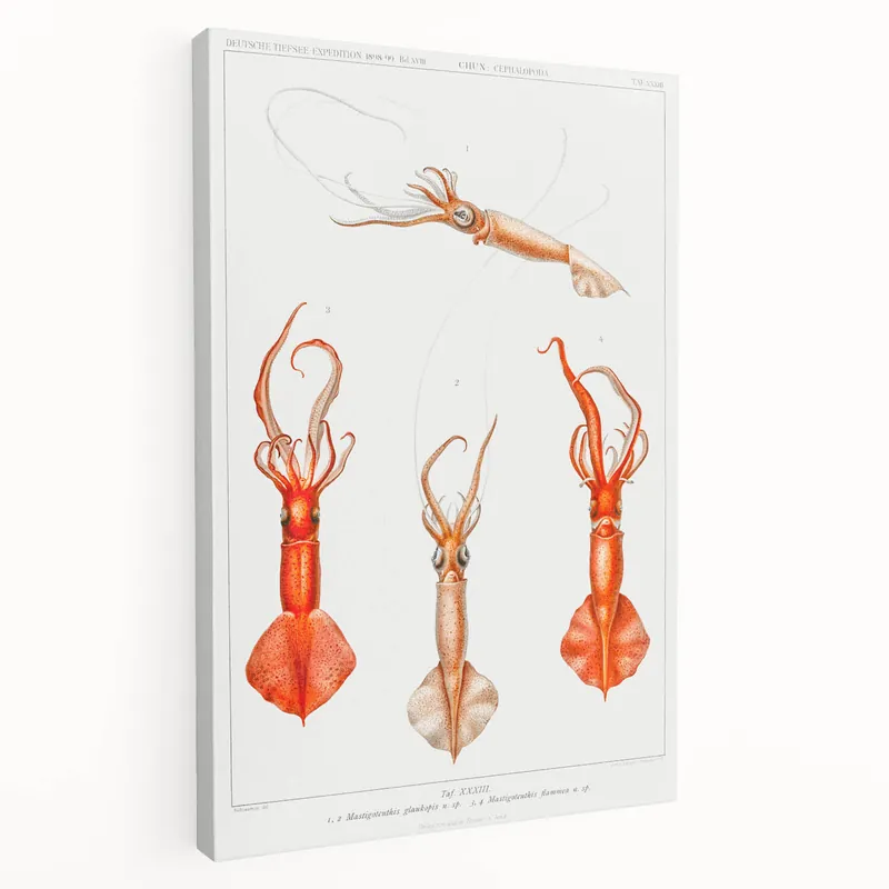 Fine Art Realism Illustration - Whiplash Squid Deep-Sea Print Canvas Handmade