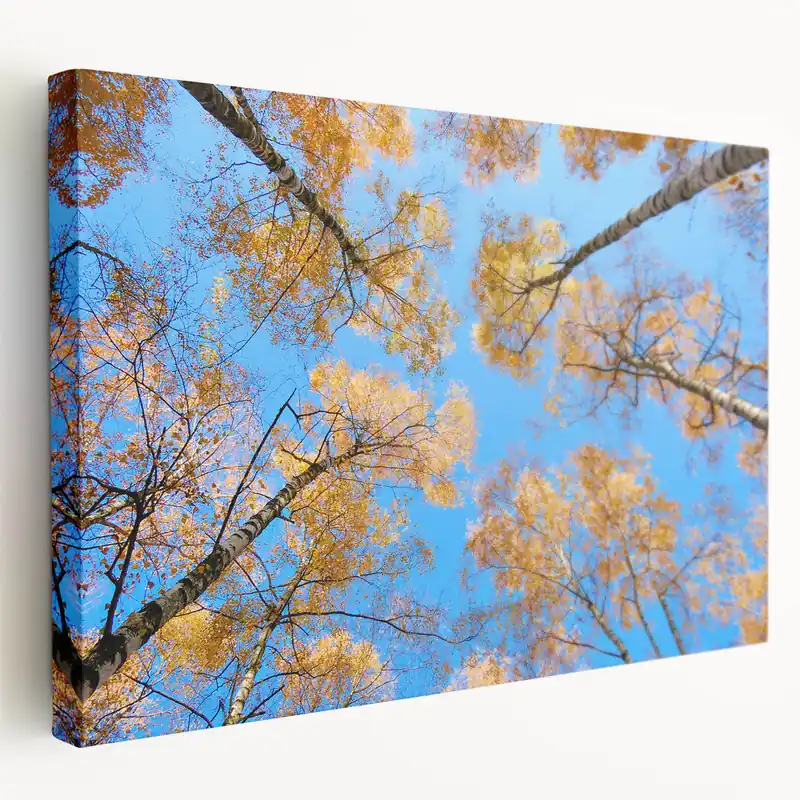 Ukraine Wall Art – Stunning Ukraine Scenery Prints on Canvas & Acrylic New Release