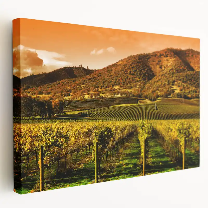 Scenic Napa Valley Vineyards – California Wine Country Landscape Art Exclusive Offer
