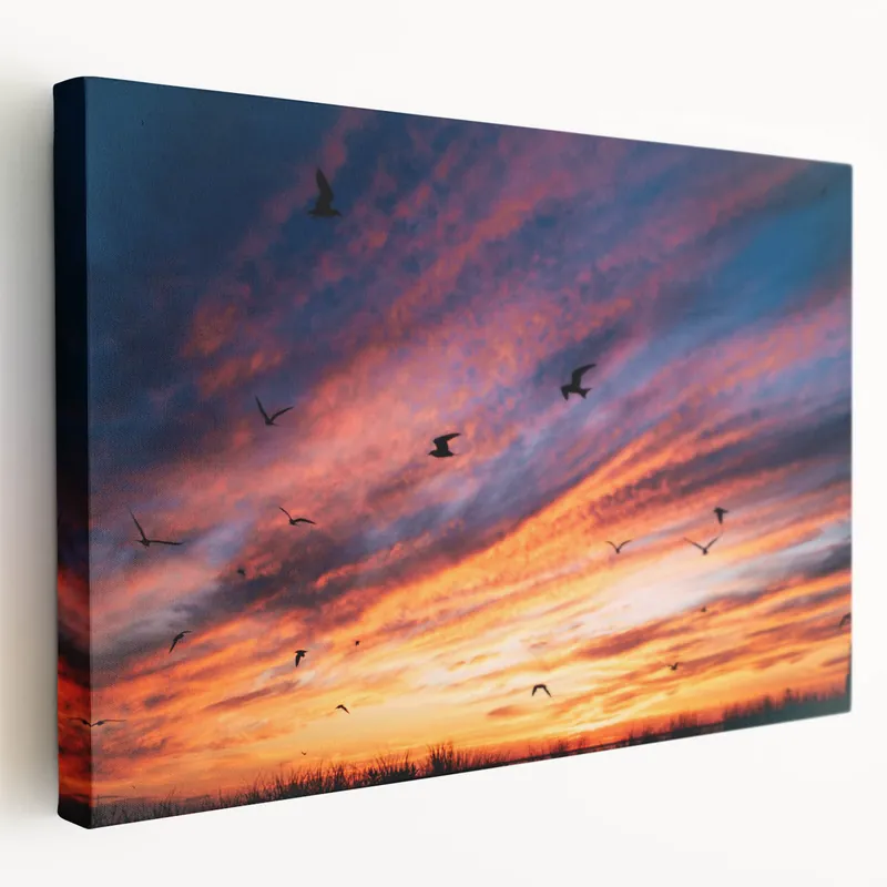 Don’t Miss Out Nantucket Scenery Art – Sunset Sky with Birds Canvas Prints & Wall Decor