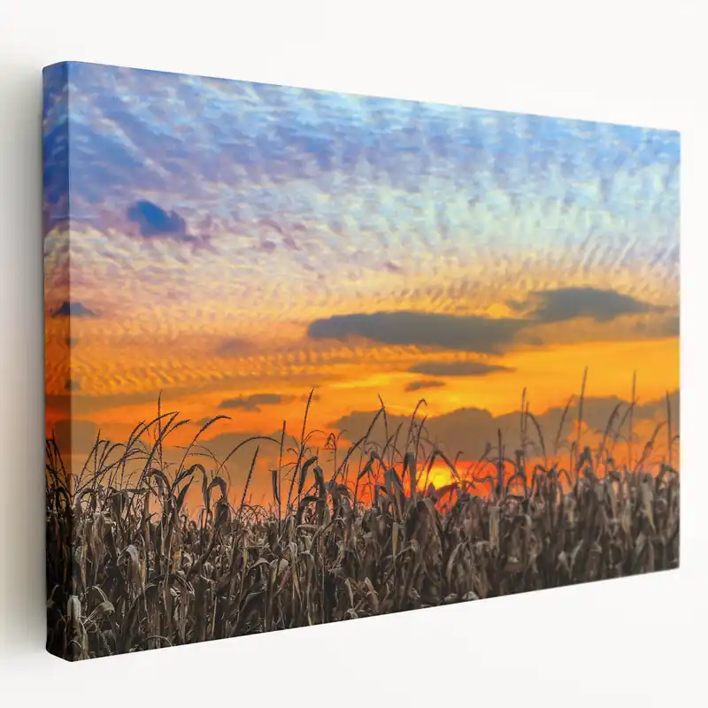 Free Delivery Indiana Landscape Art - Majestic Cornfield Sunset Indiana Home Decor