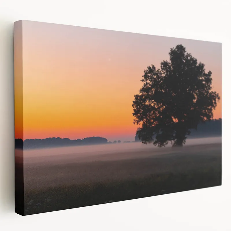 Latvian Landscape Art - Tree Silhouette at Sunset Baltic Scenery Print Clearance