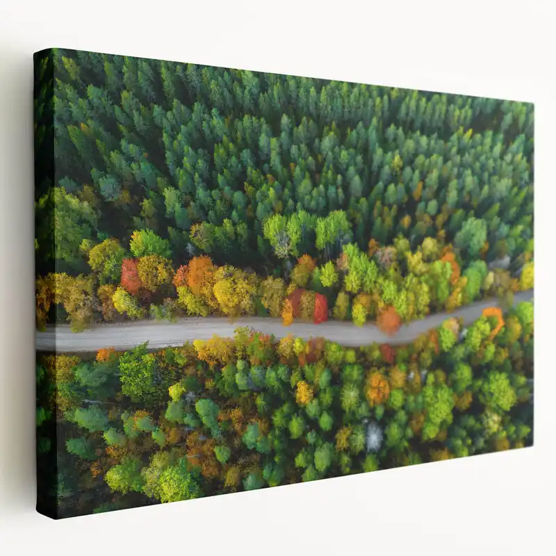 Latvia Canvas Prints - Aerial Latvian Landscape Baltic Region Wall Decor New Release