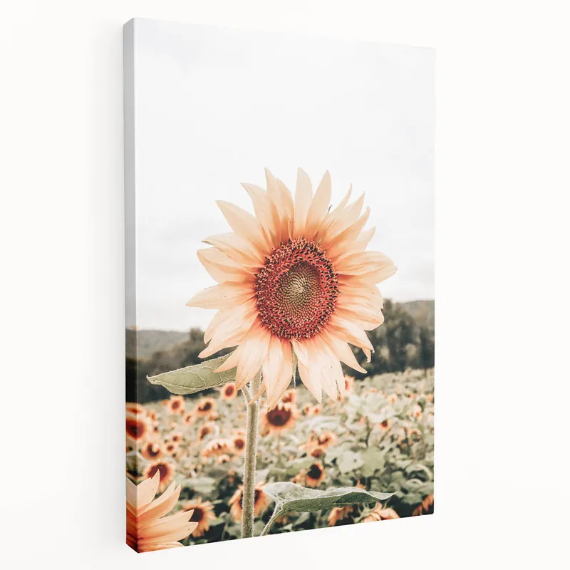 Editor’s Pick Farmhouse Wall Art Sunflower Print | Rustic Farmhouse Decor for Country Living