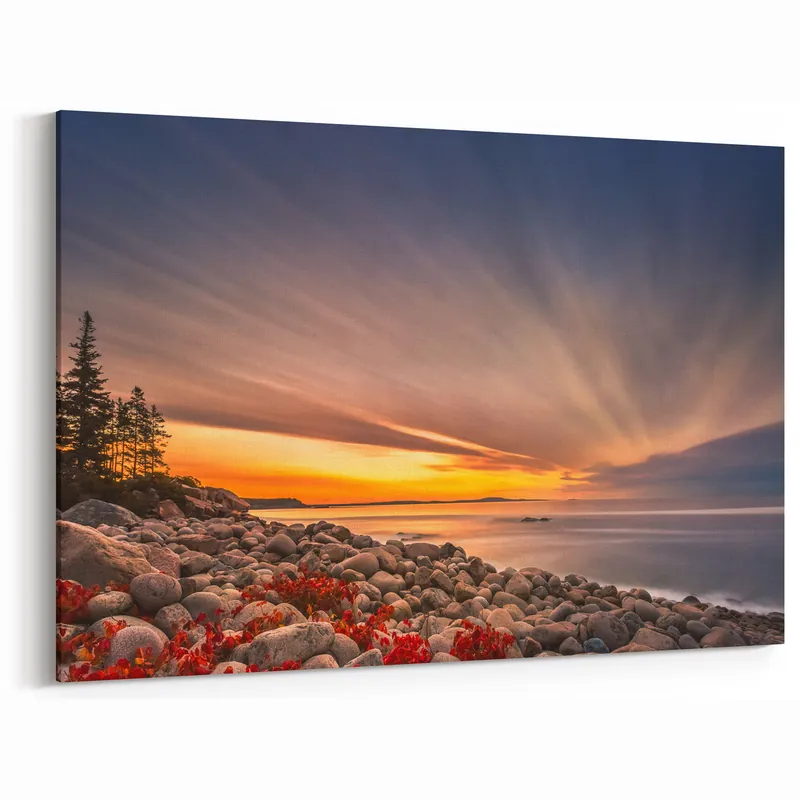 Best Price National Park Art Prints - Stunning Acadia Coastal Maine Sunrise Poster