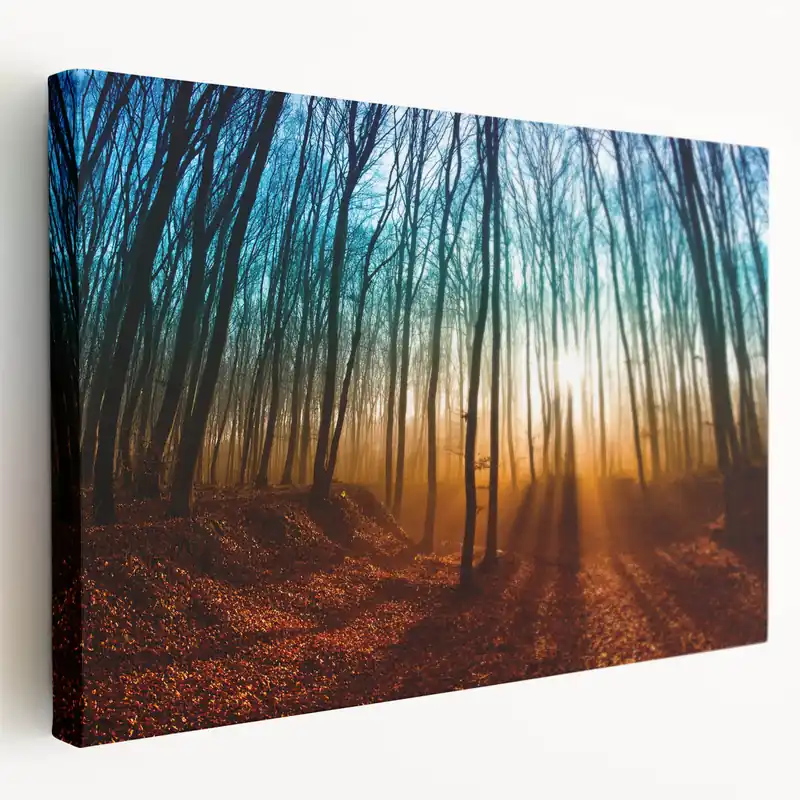 Deal Hungary Wall Art - Hungary Scenic Prints of Enchanted Forest Landscape