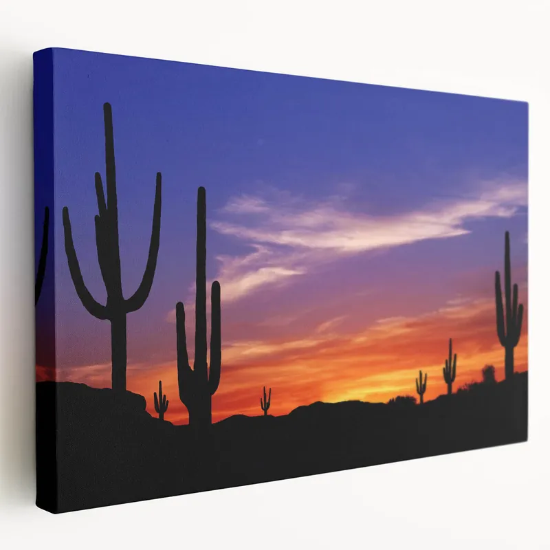 Buy Online Sonoran Desert Wall Art - Arizona Desert Sunset Cactus Landscape Canvas